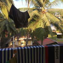 фото из отзыва ID 1484948