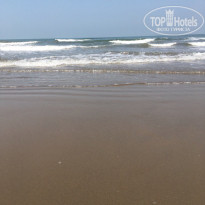 фото из отзыва ID 1485031