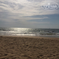 фото из отзыва ID 1485031