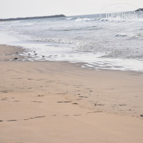 фото из отзыва ID 1485277