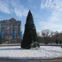 фото из отзыва ID 1485303