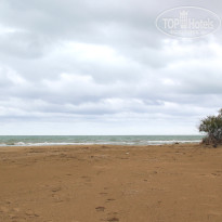 фото из отзыва ID 1485470