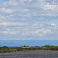 фото из отзыва ID 1485470