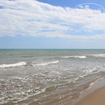 фото из отзыва ID 1485470