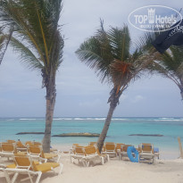 фото из отзыва ID 1485515