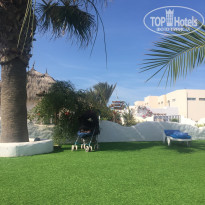 фото из отзыва ID 1485517