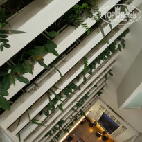 фото из отзыва ID 1485554