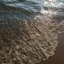 фото из отзыва ID 1485575