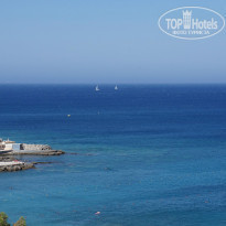 фото из отзыва ID 1485678