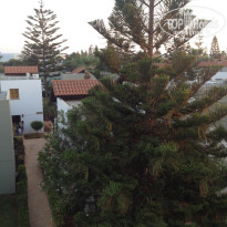 фото из отзыва ID 1485960