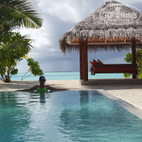 фото из отзыва ID 1486121