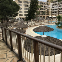 фото из отзыва ID 1486158