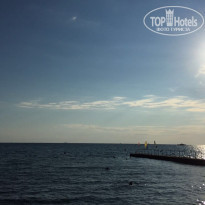 фото из отзыва ID 1486300