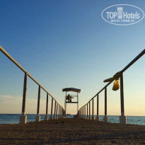 фото из отзыва ID 1486300