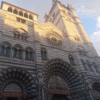 фото из отзыва ID 1486346