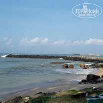 фото из отзыва ID 1486243