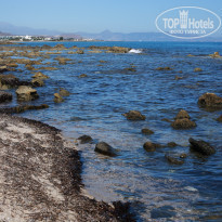 фото из отзыва ID 1486491