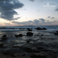 фото из отзыва ID 1486491