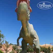 фото из отзыва ID 1486491