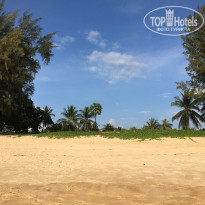 фото из отзыва ID 1486548