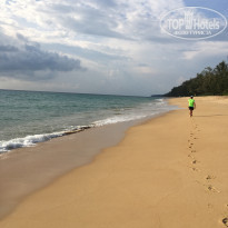 фото из отзыва ID 1486548