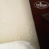 фото из отзыва ID 1486556