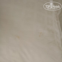 фото из отзыва ID 1486556