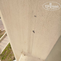 фото из отзыва ID 1486556