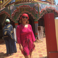 фото из отзыва ID 1486576