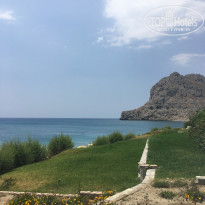 фото из отзыва ID 1486599