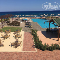 фото из отзыва ID 1486599