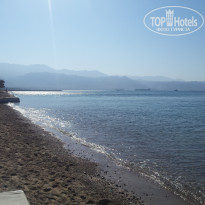 фото из отзыва ID 1486647