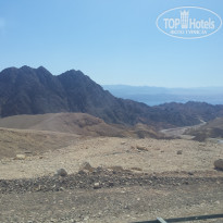 фото из отзыва ID 1486647