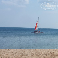 фото из отзыва ID 1486712