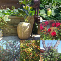 фото из отзыва ID 1486712