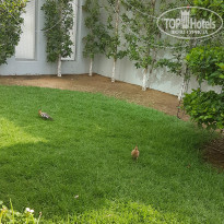 фото из отзыва ID 1486856