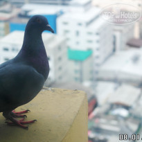 фото из отзыва ID 1486864