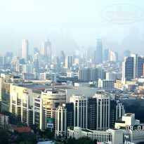 фото из отзыва ID 1486864