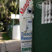 фото из отзыва ID 1486897