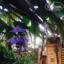 фото из отзыва ID 1487005