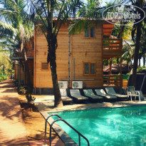 фото из отзыва ID 1487005