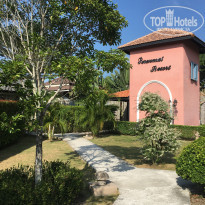 фото из отзыва ID 1487049