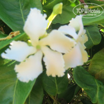 фото из отзыва ID 1487011