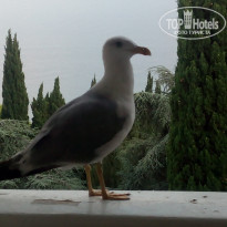 фото из отзыва ID 1487212