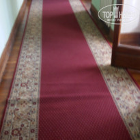 фото из отзыва ID 1487212