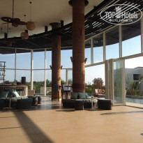 фото из отзыва ID 1487298