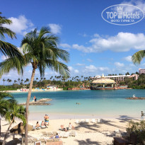 фото из отзыва ID 1487411