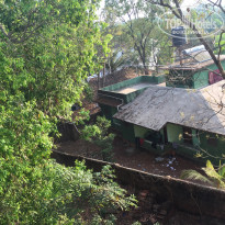 фото из отзыва ID 1487427