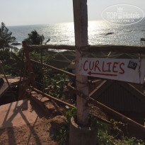 фото из отзыва ID 1487427