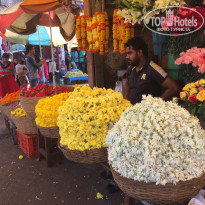 фото из отзыва ID 1487427